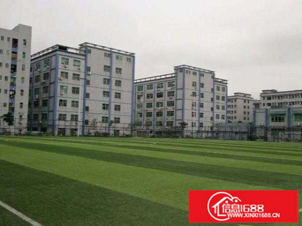 上雪工业区200平280平600平1000平厂房仓库招租