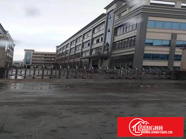 企石镇独门独院厂房大小分租