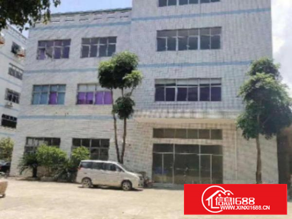 万江九成新经典独院标准楼房厂房宿舍共7000平方出租