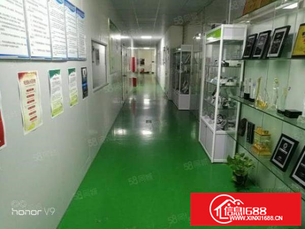 龙华大浪原房东带装修厂房出租1280平方，一整层，面积实在