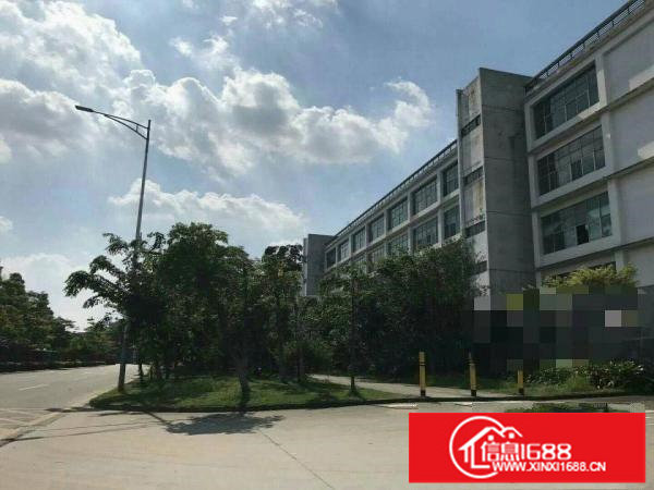 坪山新出红本标准重工业厂房招租！单层15000平方