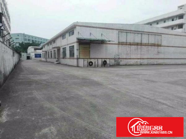 龙岗坪地北通道或龙岗大道钢构厂房1300平出租