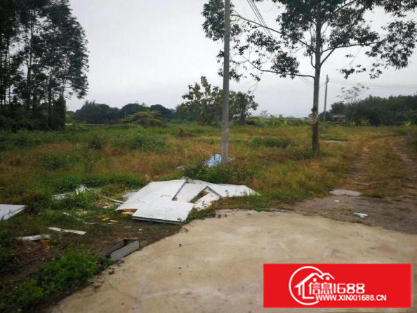 白花可做污染小独院7米高钢构1000平，周边无居民