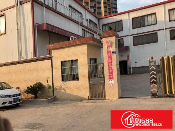 两层钢构院子超大