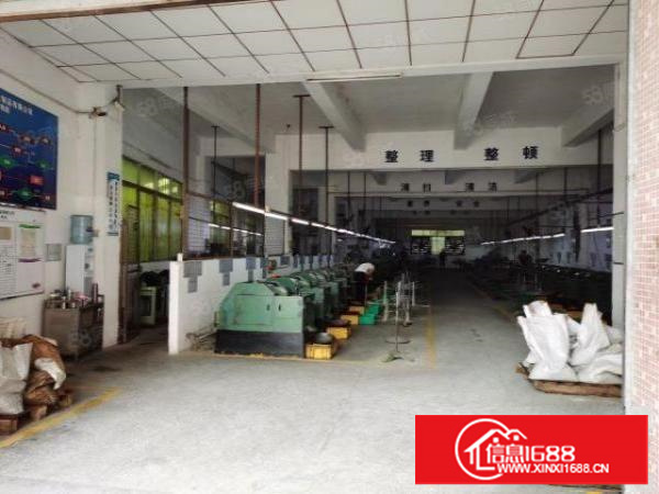 石碣镇西南工业区独院厂房1一2楼共1800方可分900方