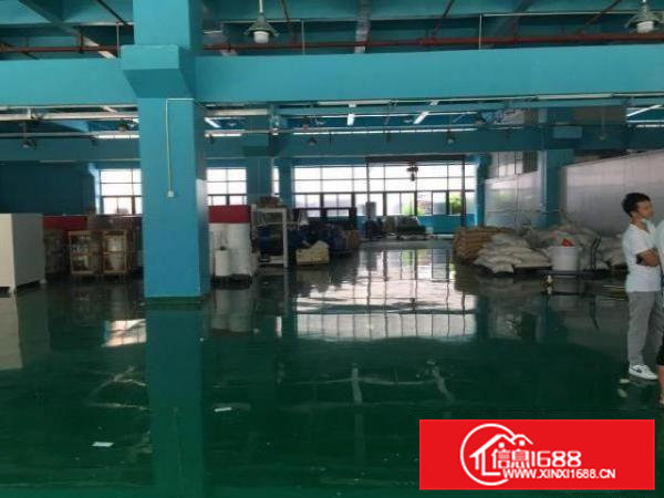 形像好有牛角，6.5米高，凤岗一楼标准厂房出租1400平