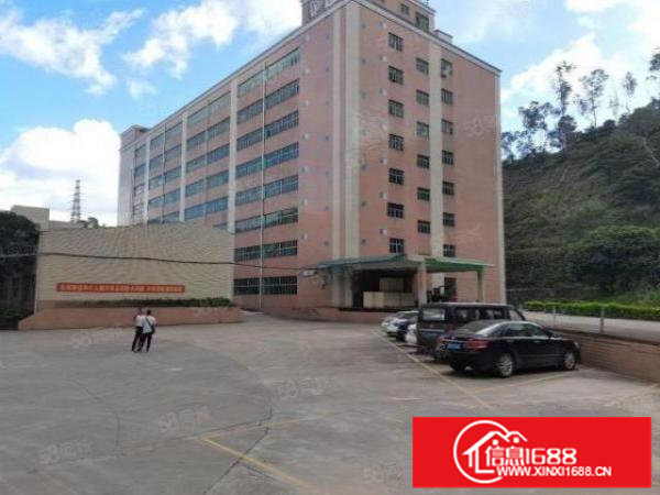 文博宫附近带装修红本厂房1000平大小可分租