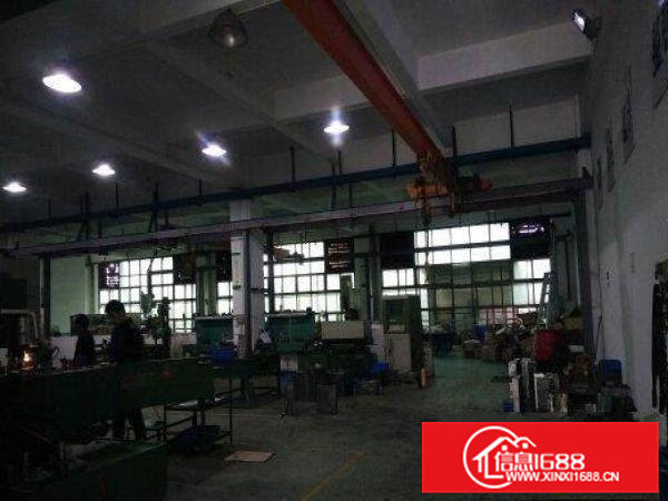 常平板石一楼1000平厂房(6米高带5吨行车)