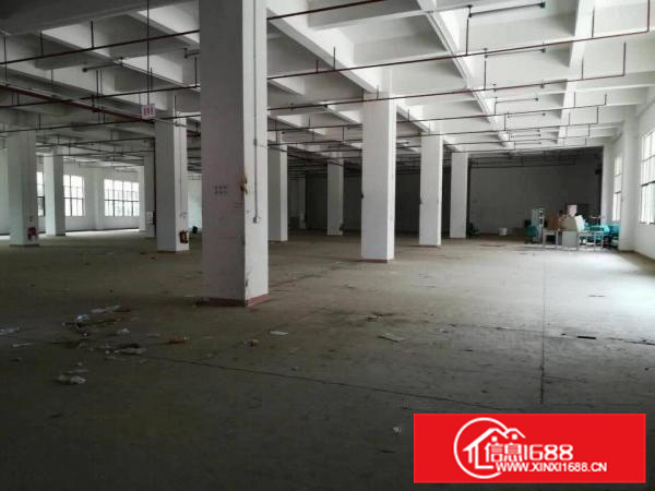 惠阳镇隆4000平方标准独院厂房招租。