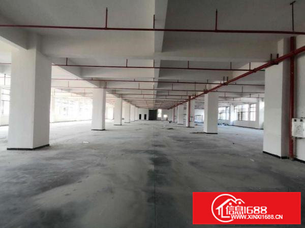 寮步竹园原房东标准独院厂房分租一楼1000平方层高6米.