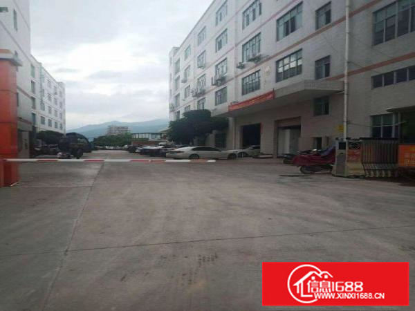 新圩约场标准厂房两层3976平一楼6米