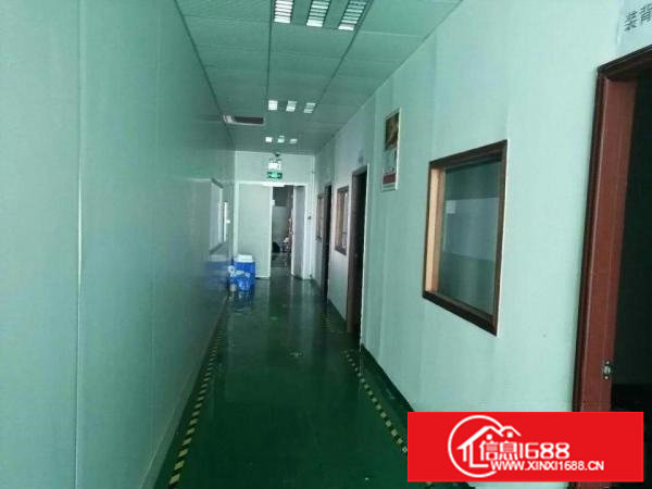 龙华富士康南门附近950平精装修厂房出租