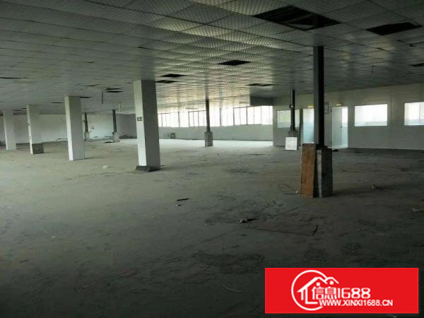 龙岗同乐高速路口电梯三楼1350平原房东精装