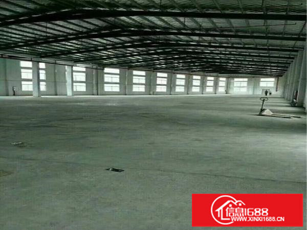 坪山石井新出层高7米钢构独院厂房3500平出租