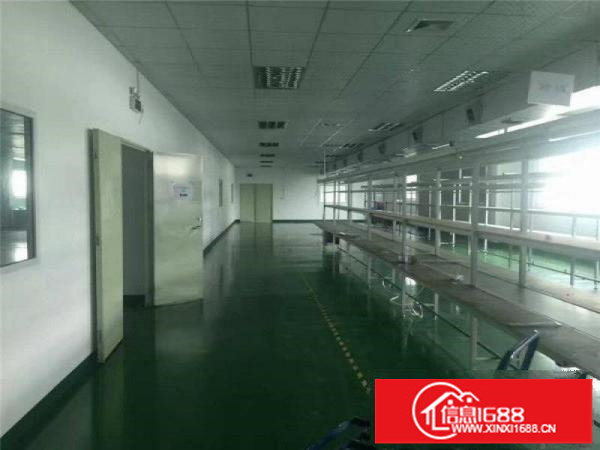 坪山坑梓新出楼上480平精装修红本厂房出租