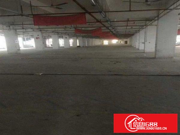 惠阳镇隆原房东1400平方标准一楼仓库招租可分可整