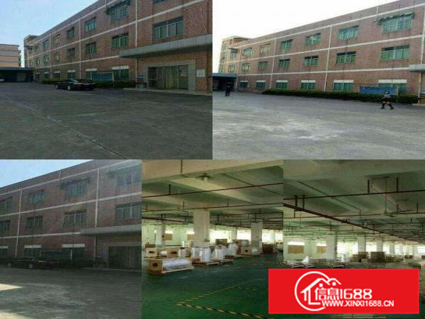 清溪花园式独院标准厂房6000平精装修招租