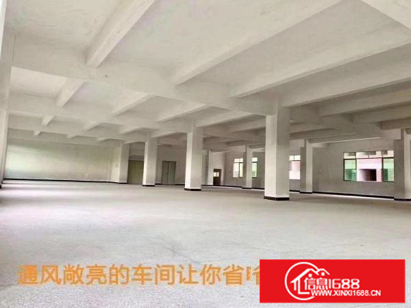 3900平方全新电梯厂房招租