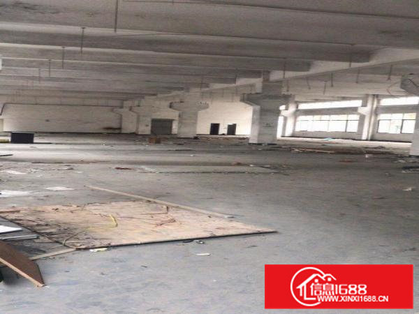 原房东标准厂房一楼厂房出租1400平方米