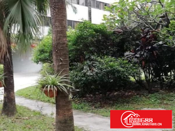 东莞茶山花园式厂房出租楼上一层2500㎡