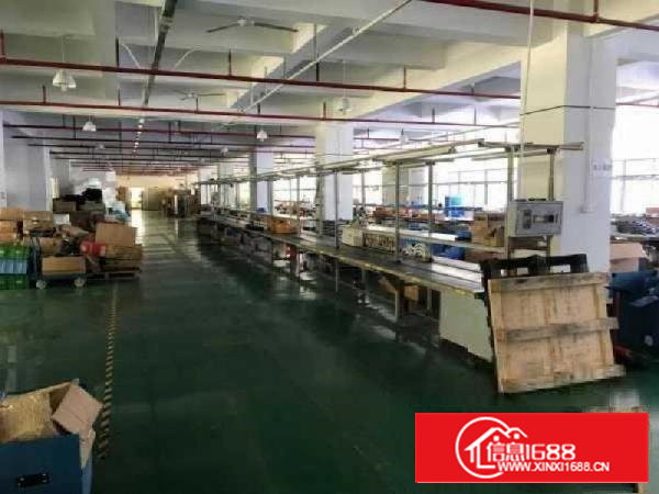 石岩2500平方精装修厂房出租