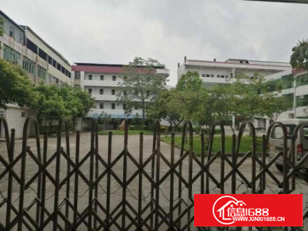 万江新房源出租，超大空地