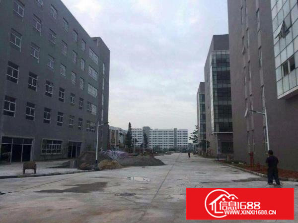 龙岗宝龙全新红本厂房75000可大小可整可分租