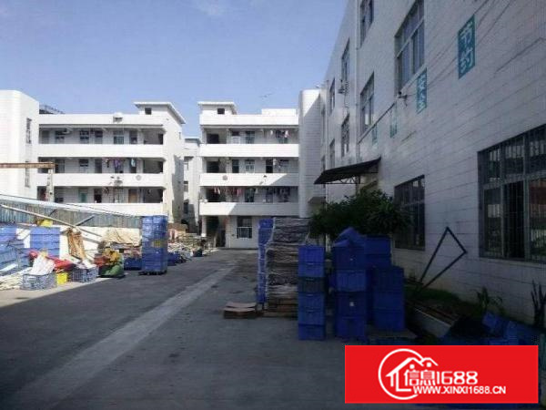 惠阳镇隆800平方一楼出租可分可整高6米