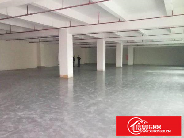 惠阳镇隆工业区厂房一楼1000平楼上500平带牛角