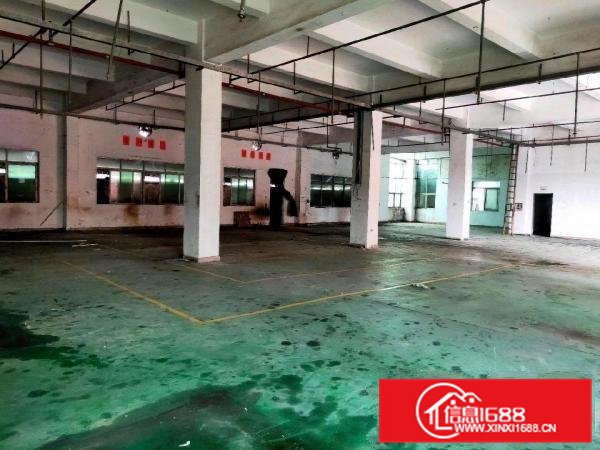 一楼高5米，现成办公室水电装修