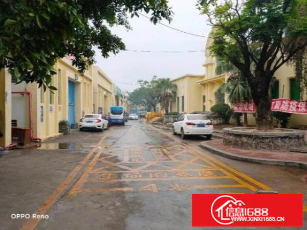 坑梓中心独栋钢构厂房1150平米出租