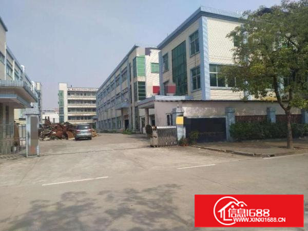 原房东红本精装修独院低价出租6500平方