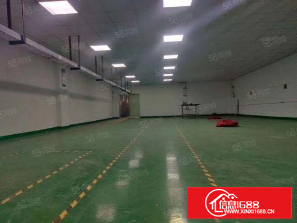 上沙新出楼上豪华装修420平厂房出租