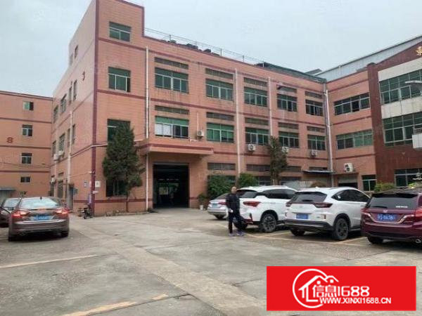 清溪三中新出楼上650平方带现成装修办公室地坪漆