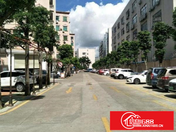 龙华区大浪新出厂房1000平出租