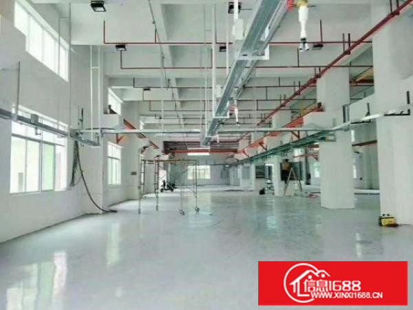 平湖仓库厂房低价出租