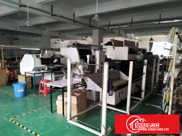 上坑全新标准一楼1200平高度7米可分租