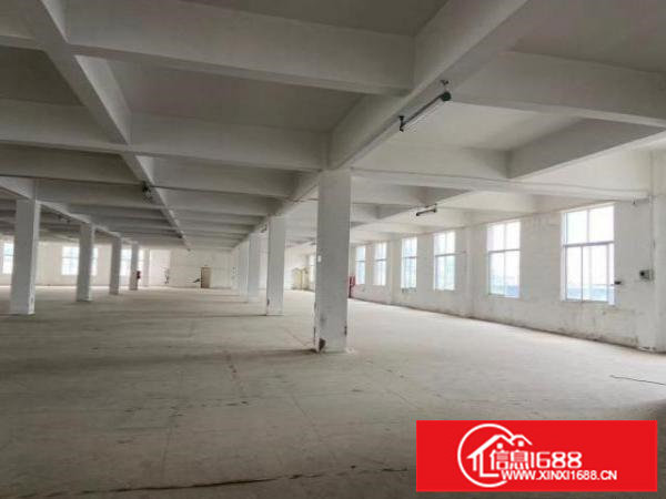 横岗产业园空地大19元全包厂房仓库