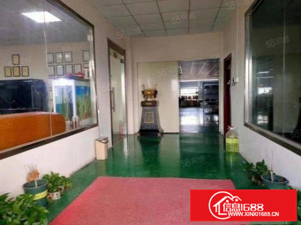 桥头镇中心原房东零公摊三楼整层1200平招租13块