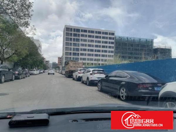 带客梯和三吨货梯厂房，可办环评有消防喷淋，独院分租一栋