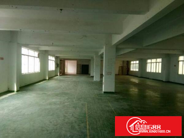 坂田五和电子厂2650平带水电装修厂房