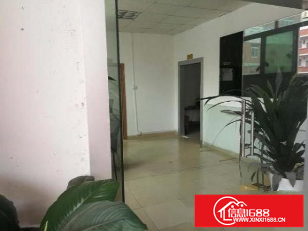 实力房东，业主！里水500;650;850;1千平方一楼厂房