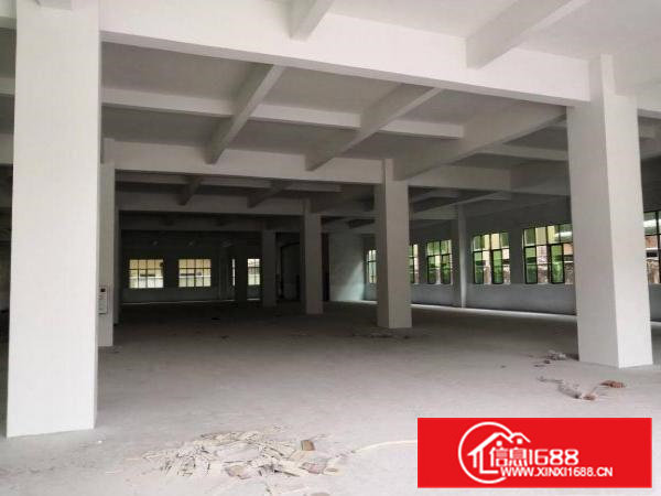 石排新出标准厂房一楼1800平方米火爆招租