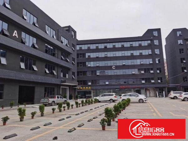 坂田天虹，利金城附近电商园200平300平500平方