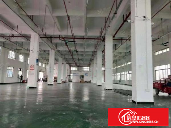 北滘标准一楼招租1450方空地大独门独院能过环评B