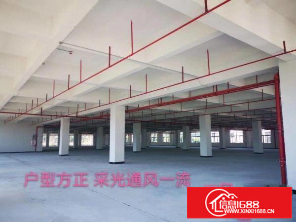 花园式全新重工厂房，免租6个月。特价招租