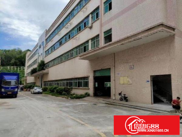 出租观澜一楼3000平厂房可分租