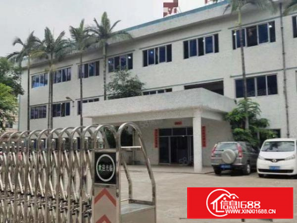 石排镇利屋附近带牛角原房东厂房出租厂房面积13层4800