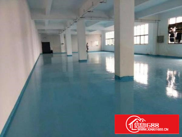 沙井共和新安大桥旁700平米精装修厂房和仓库出租