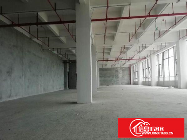 伦教业区标准厂房5200方、可分租、电大市政排污